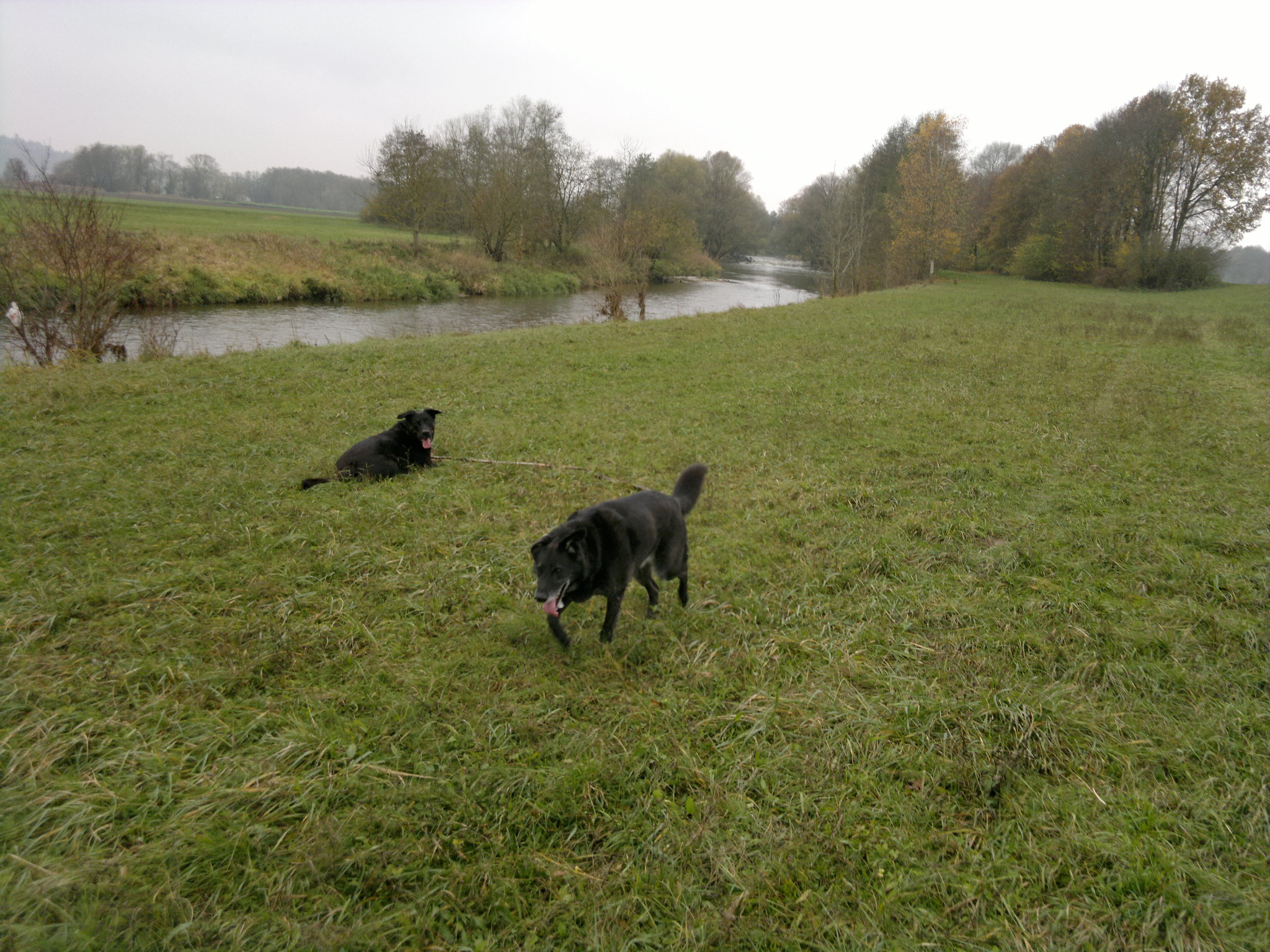 Luis und Sam ... k.o.jpg (2048 x 1536)